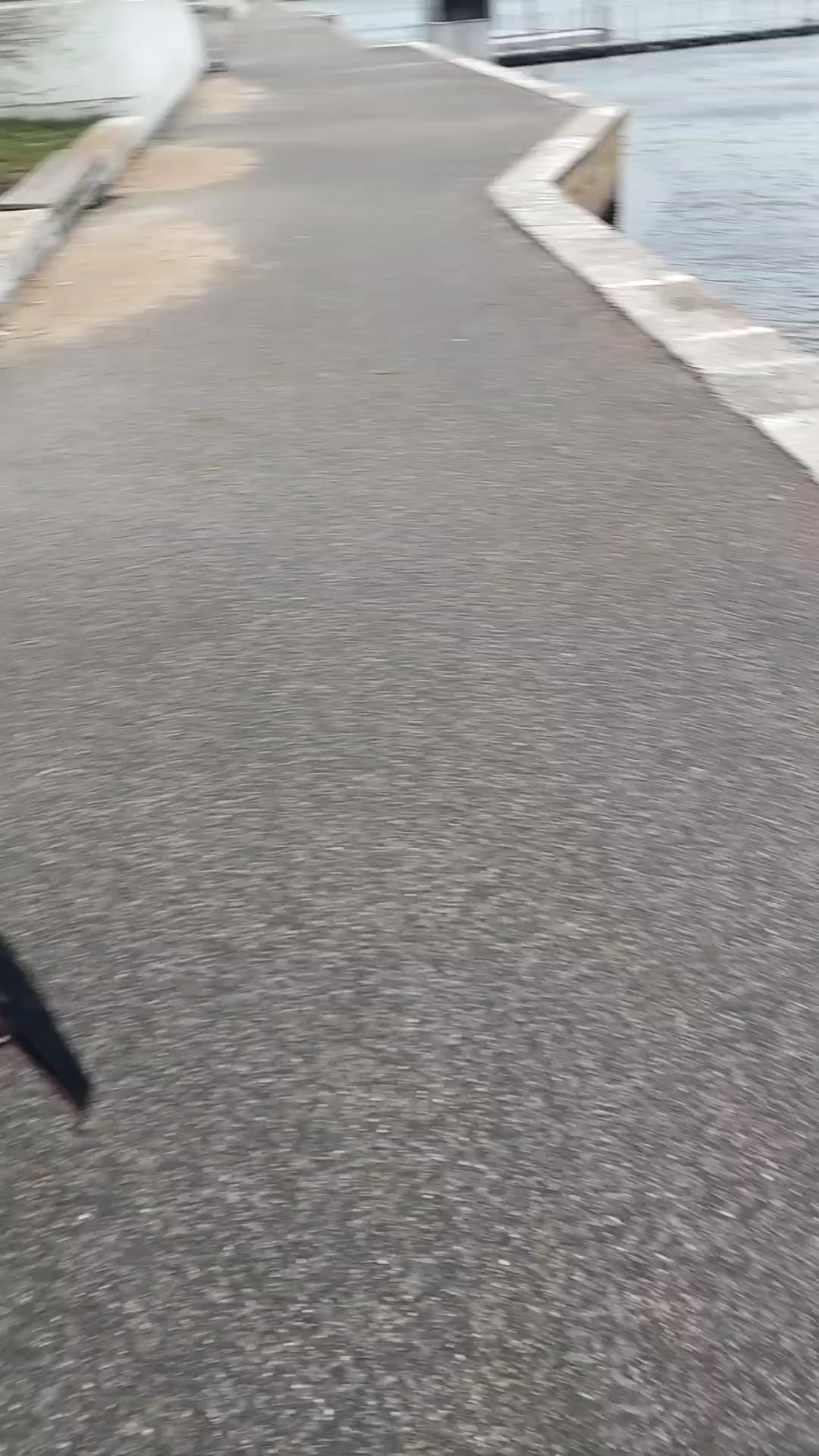 @рыб@чок