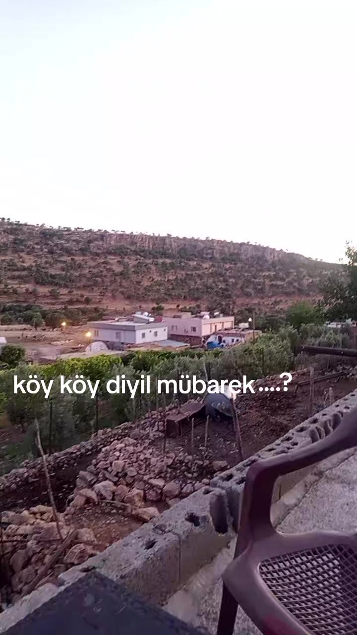 @hebun zınar