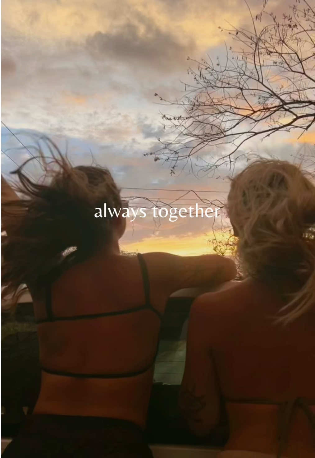 @Audrey✨