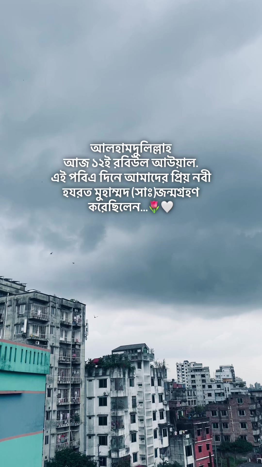 @Shahin Bhai