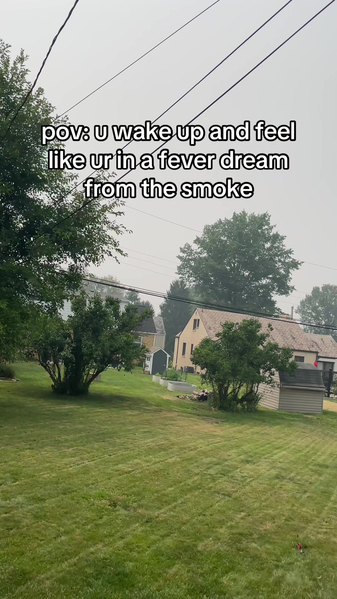 @sophia