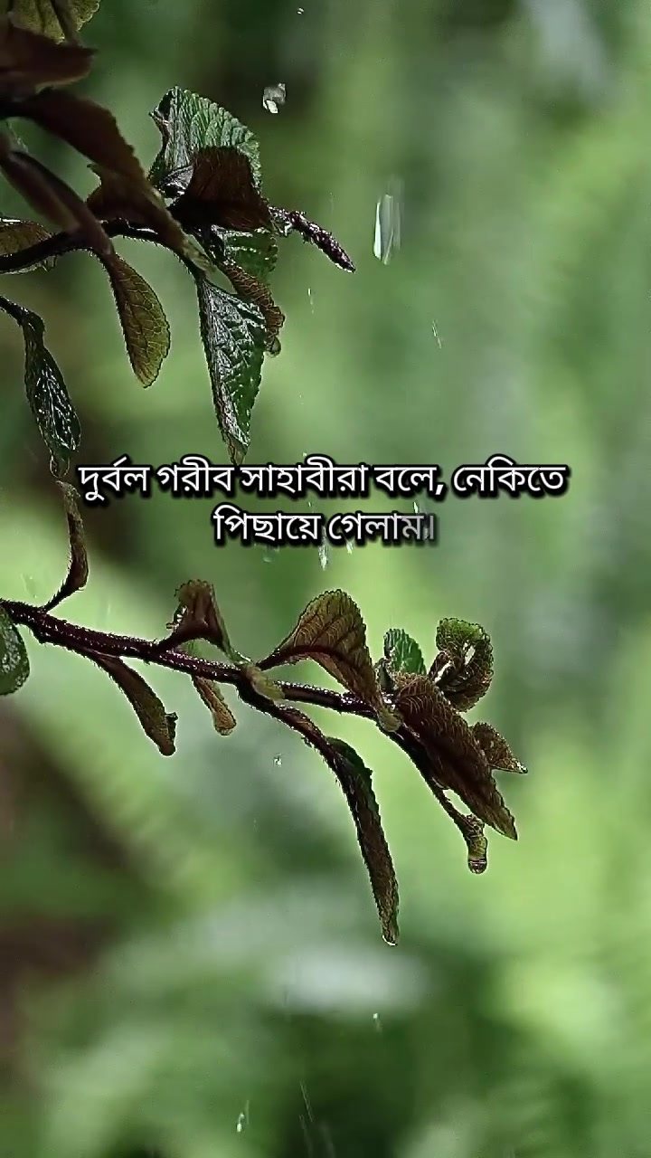 @𝑹𝒂𝒋𝒐𝒏 𝑨𝒉𝒎𝒆𝒅💫🍁