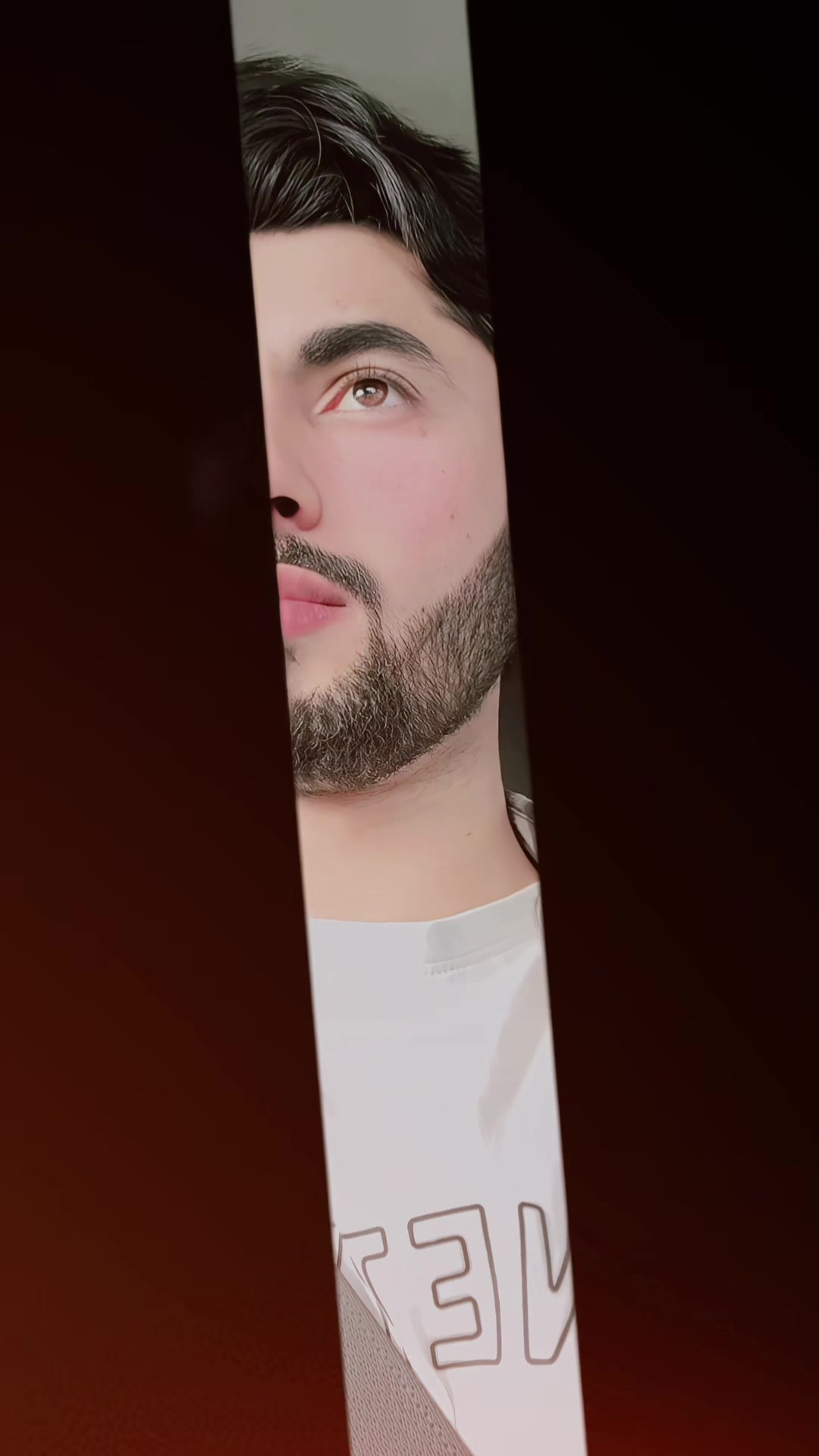 @🕊️