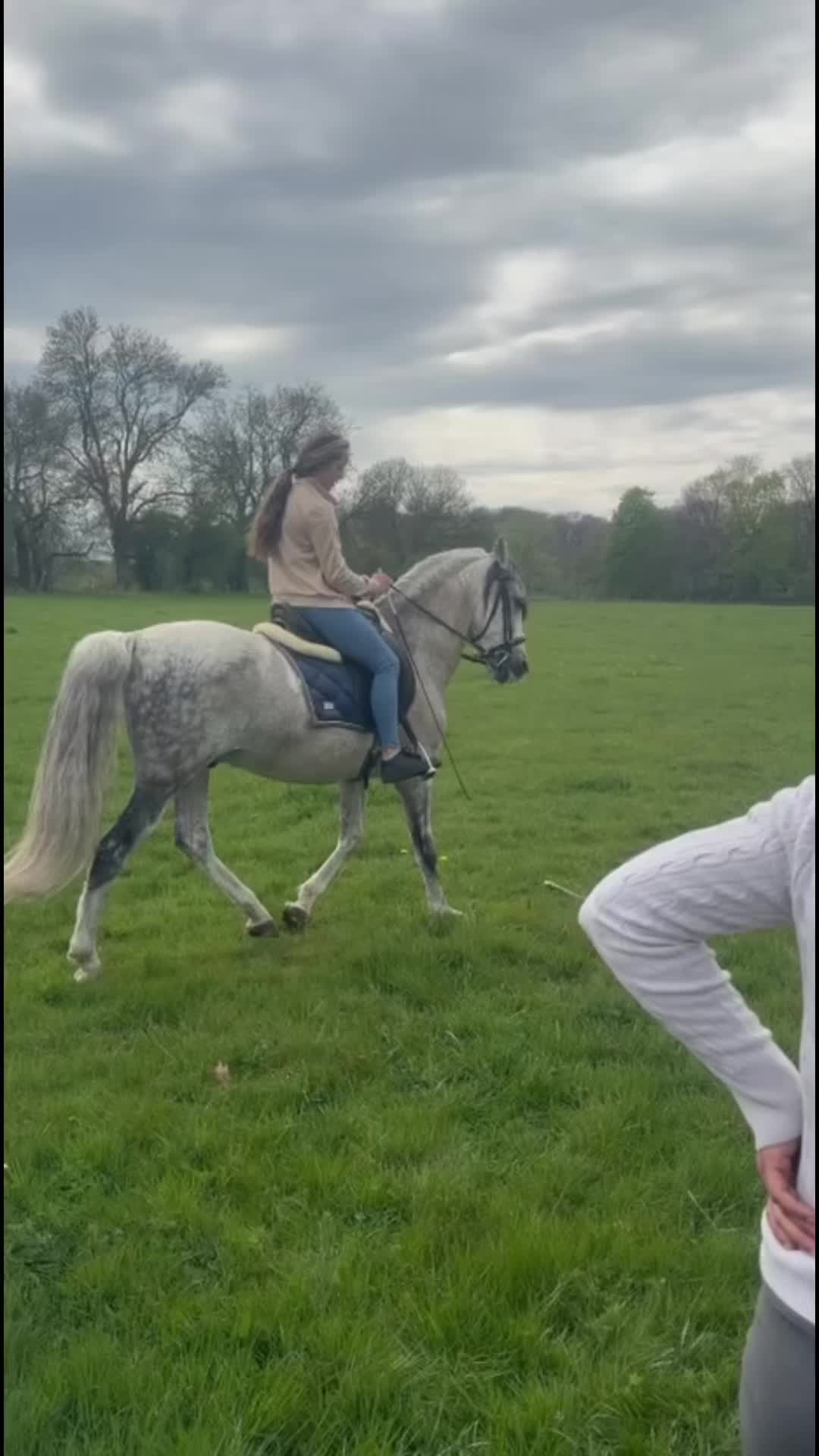 @Horses