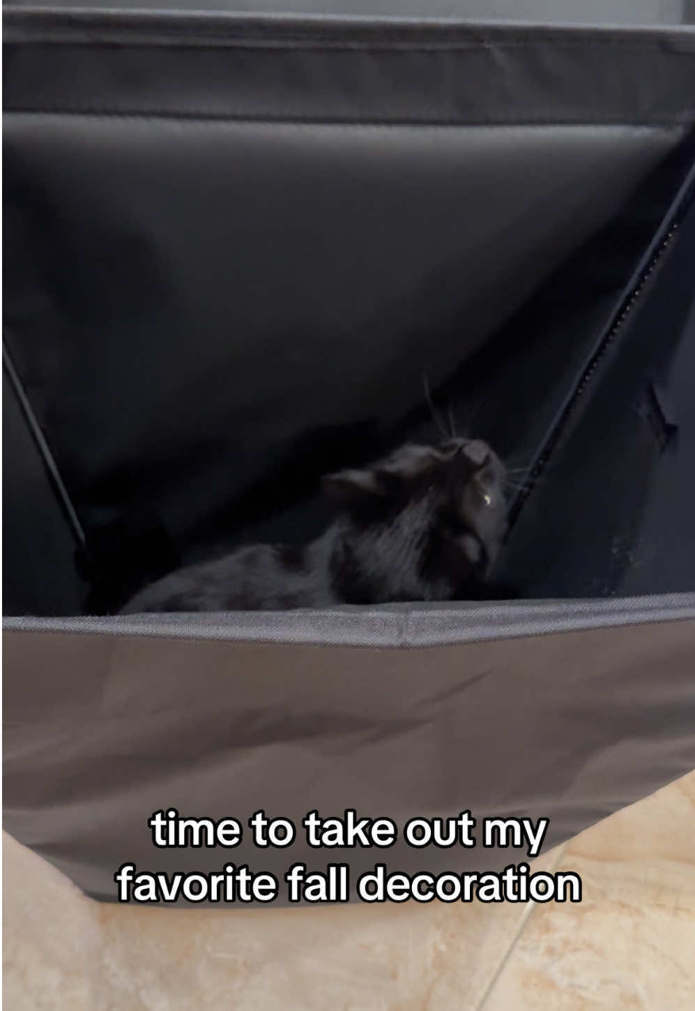 @Solhy