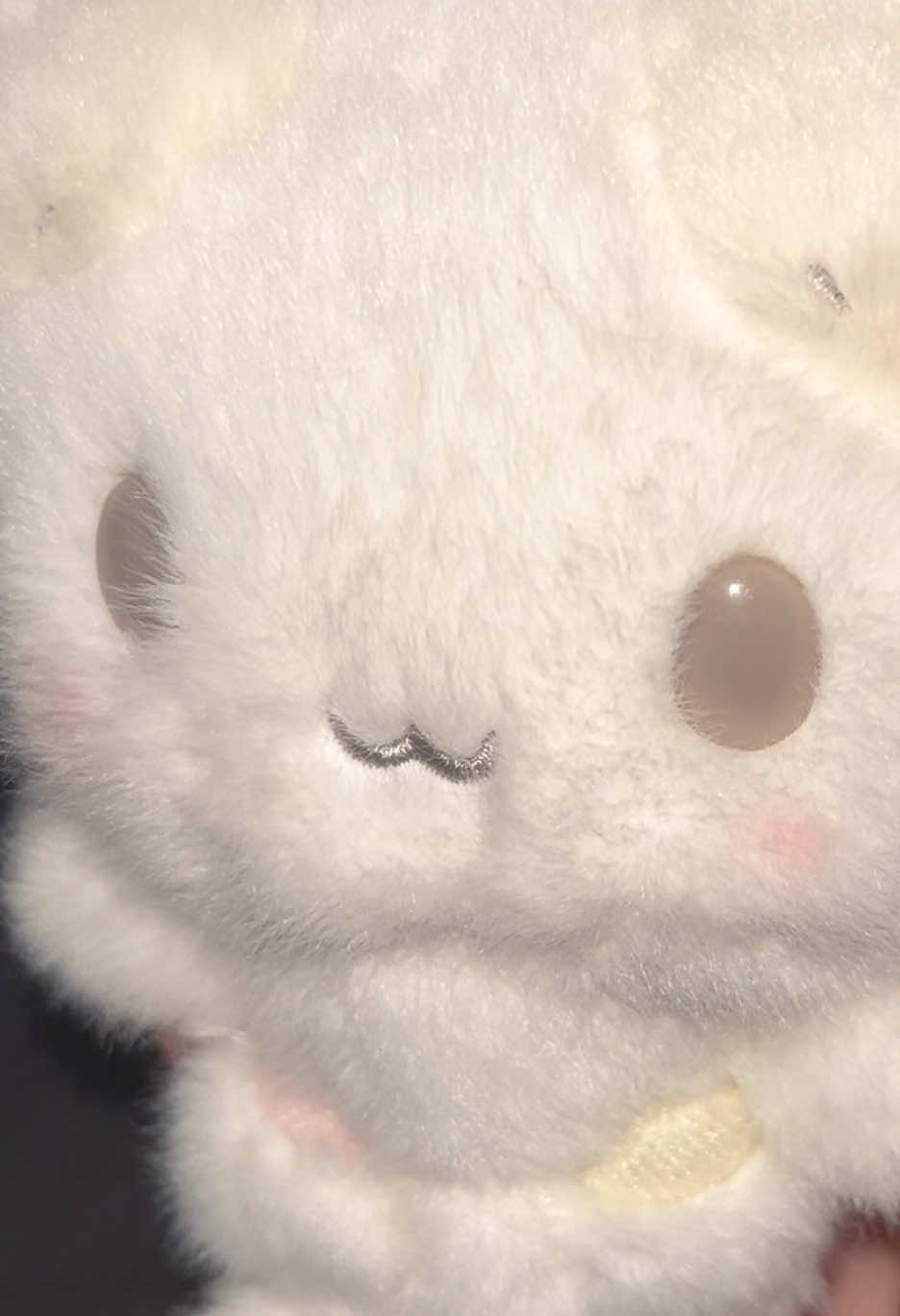 @Briiʕ•ᴥ•ʔ