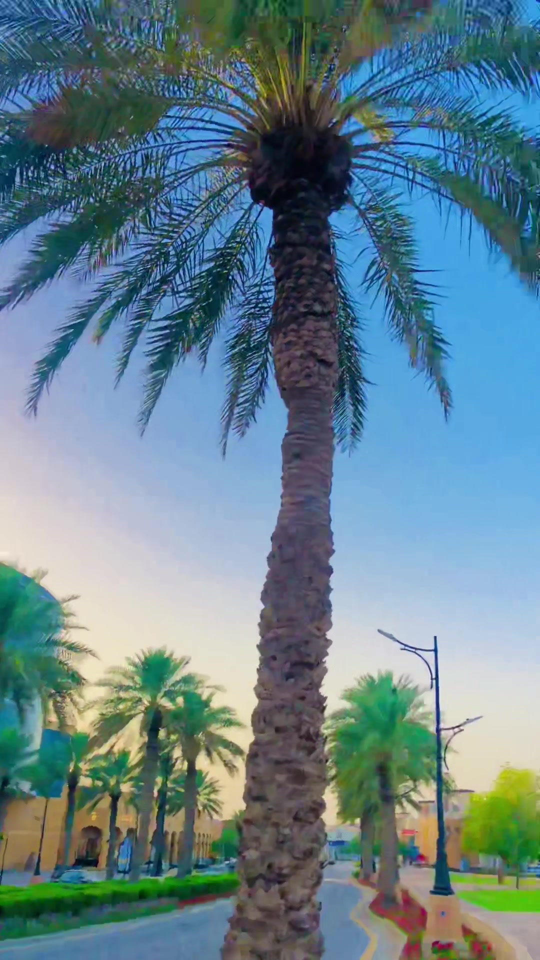 @❤️ Naich ملک اویس