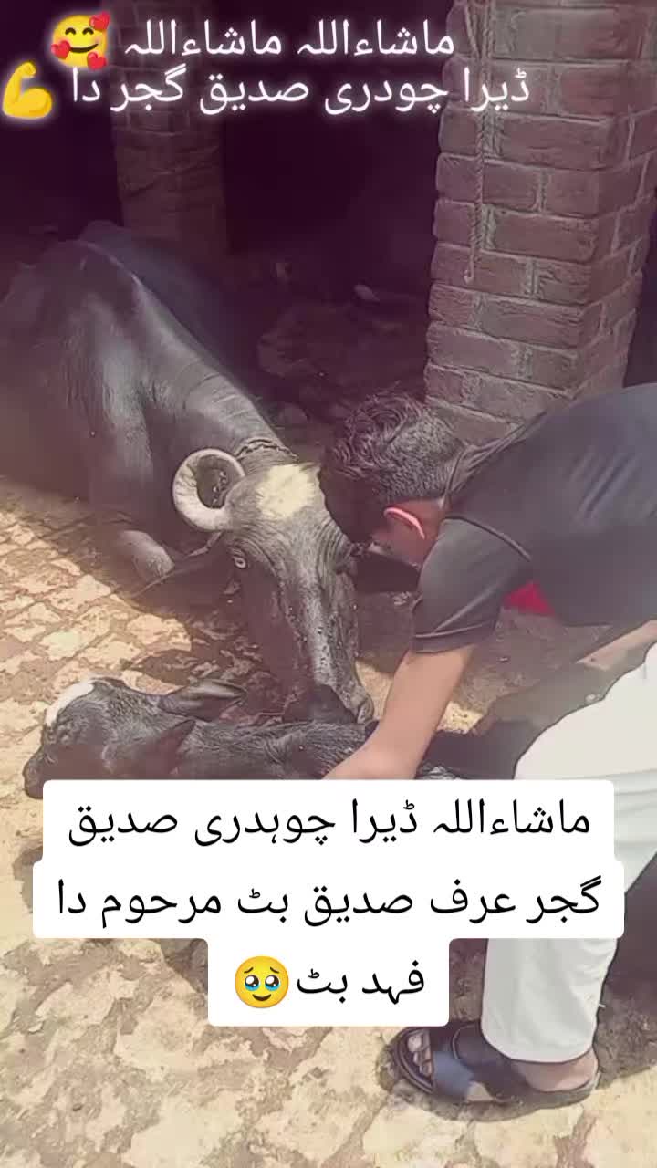 @ZAHID GUJJAR 2088