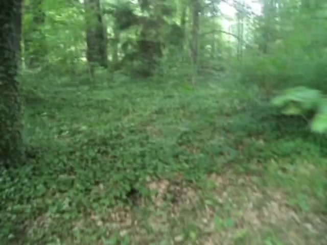 @trytrytrytrytryagain