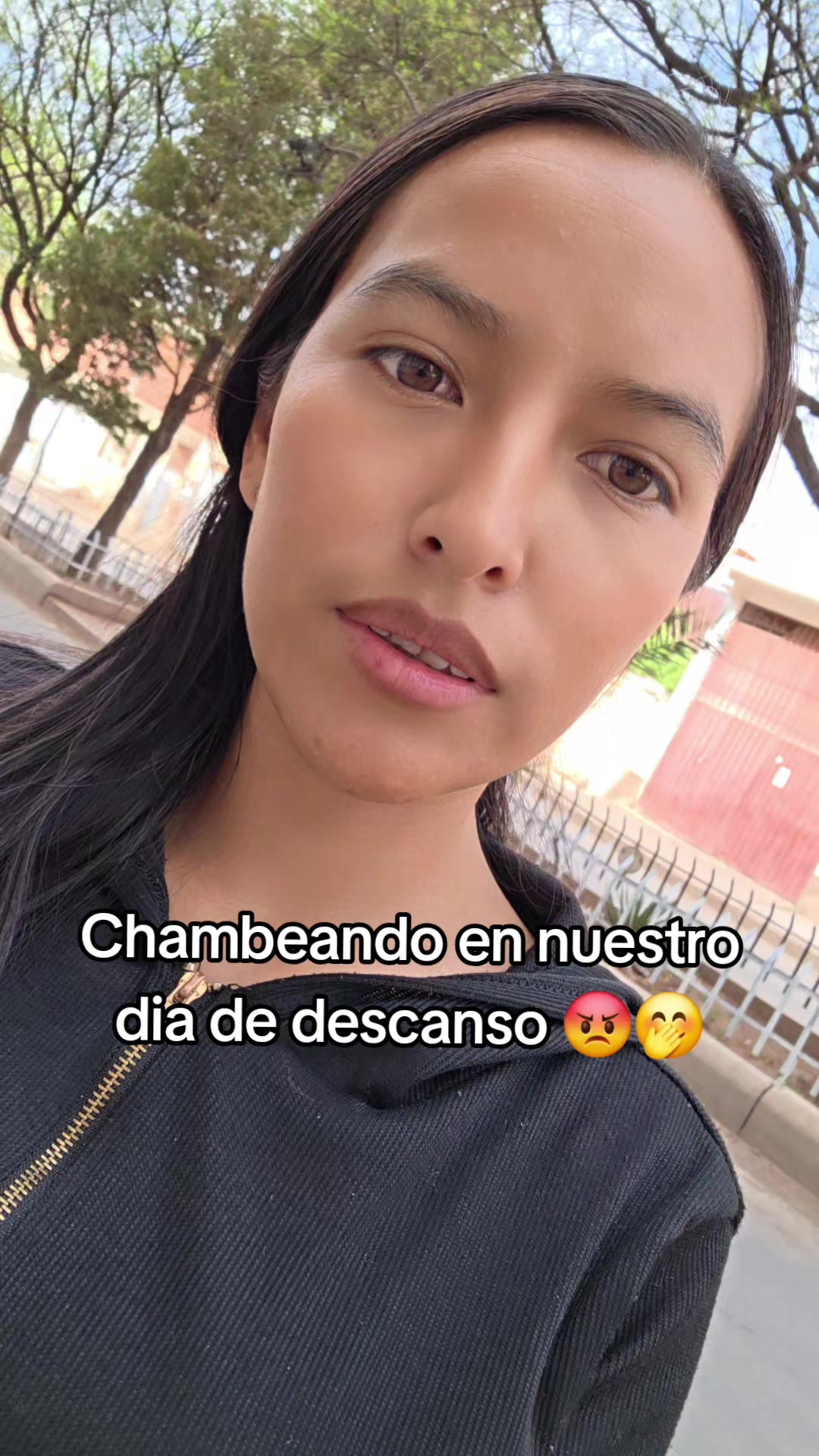 @Mister Pollo