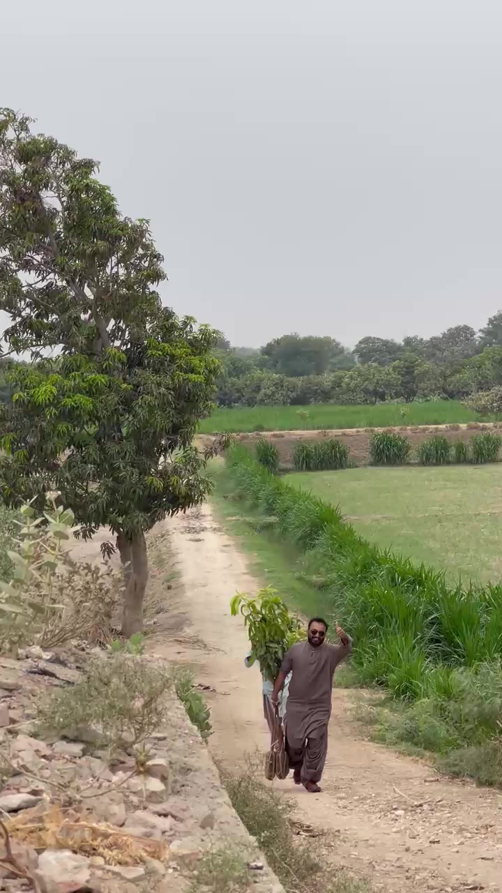 @Sardar Ali Hassan taherani