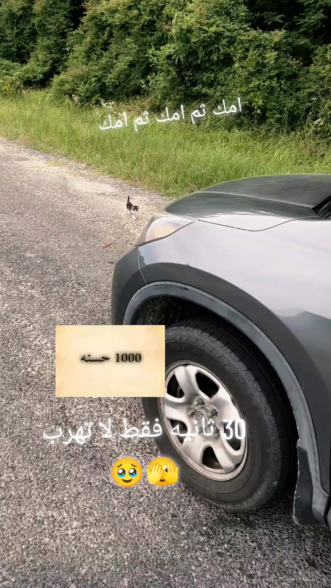 @hamzh