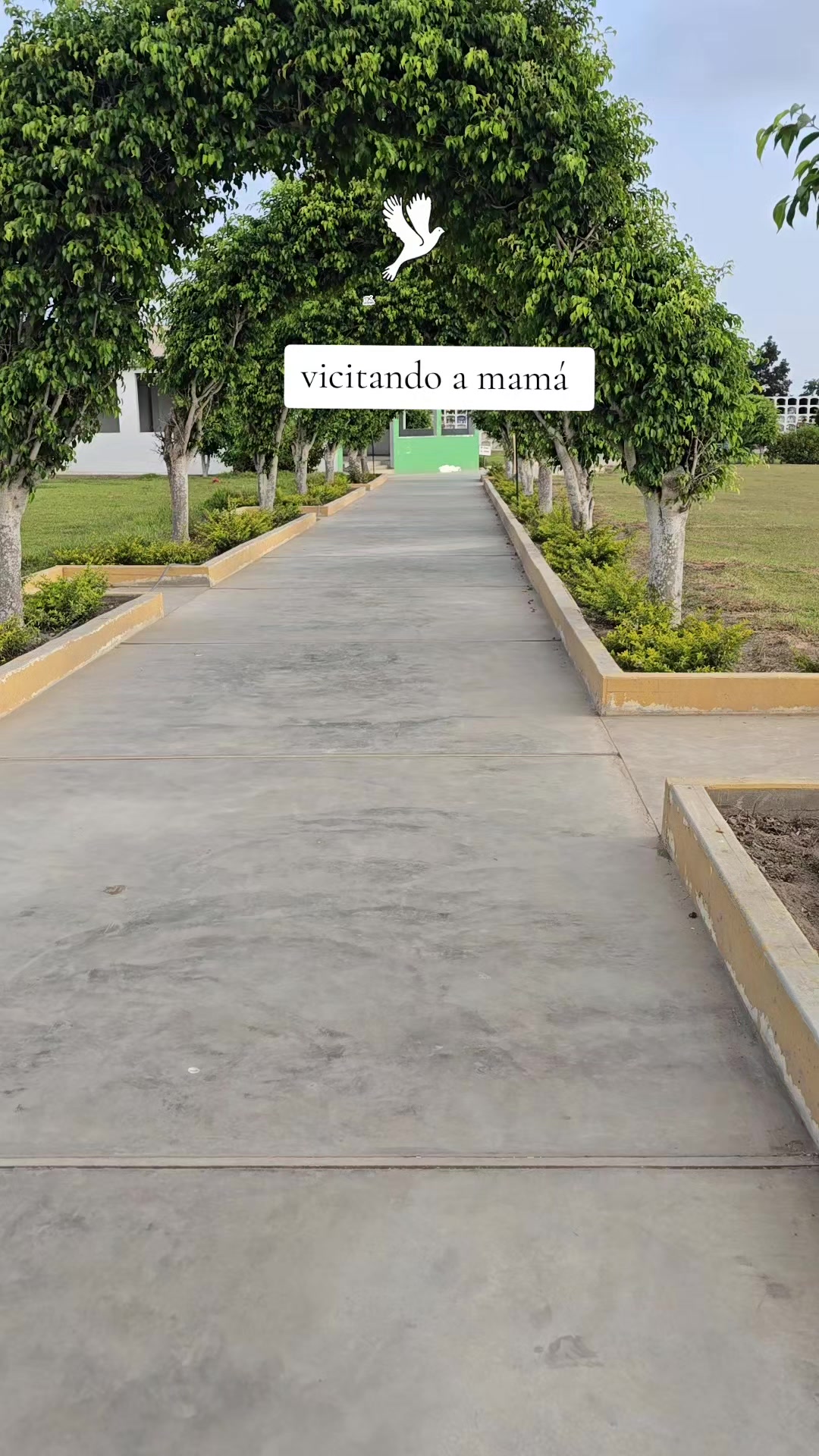 @Barbara Roo