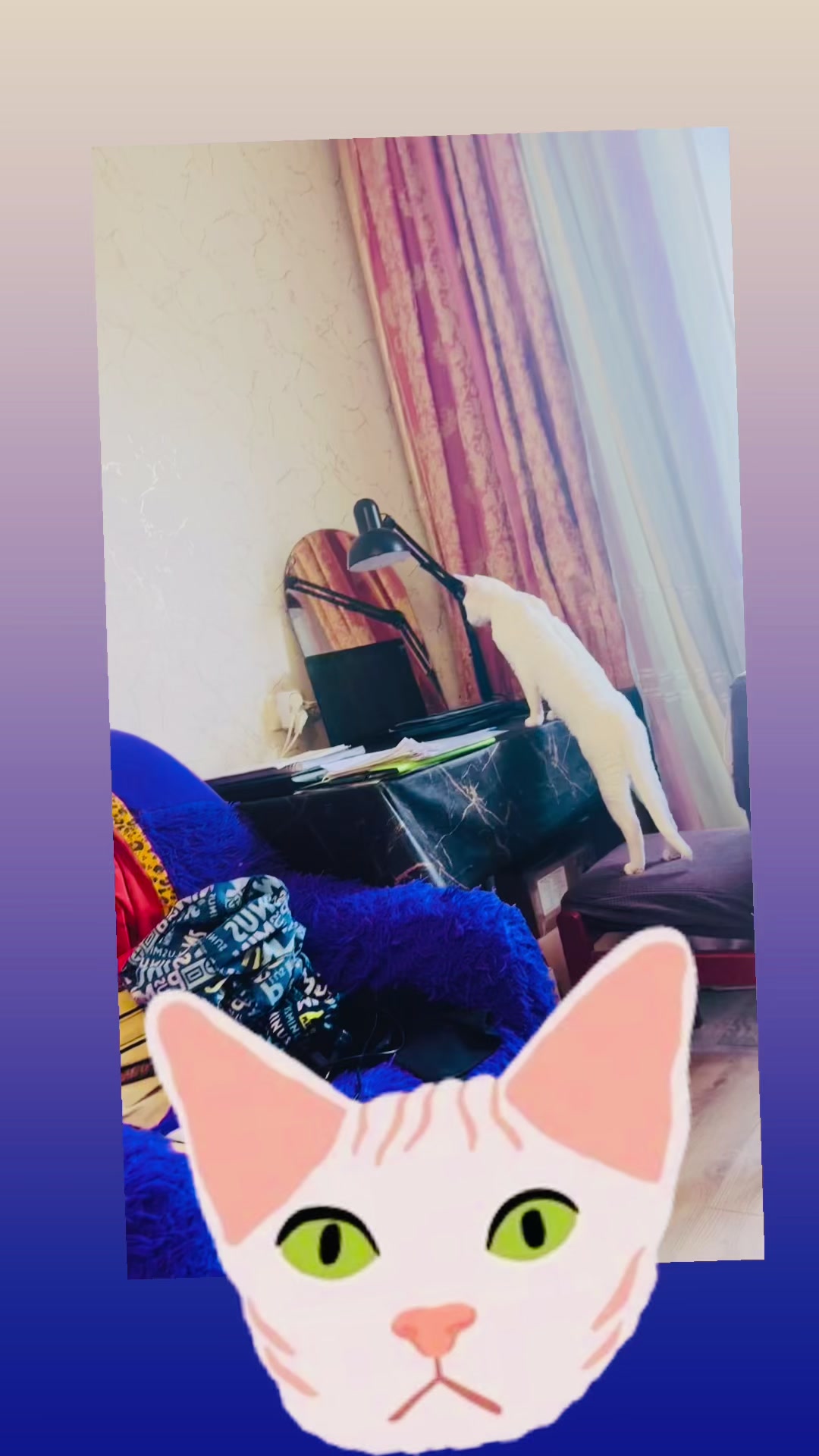 @Лев 🦁 Скавронский❤️
