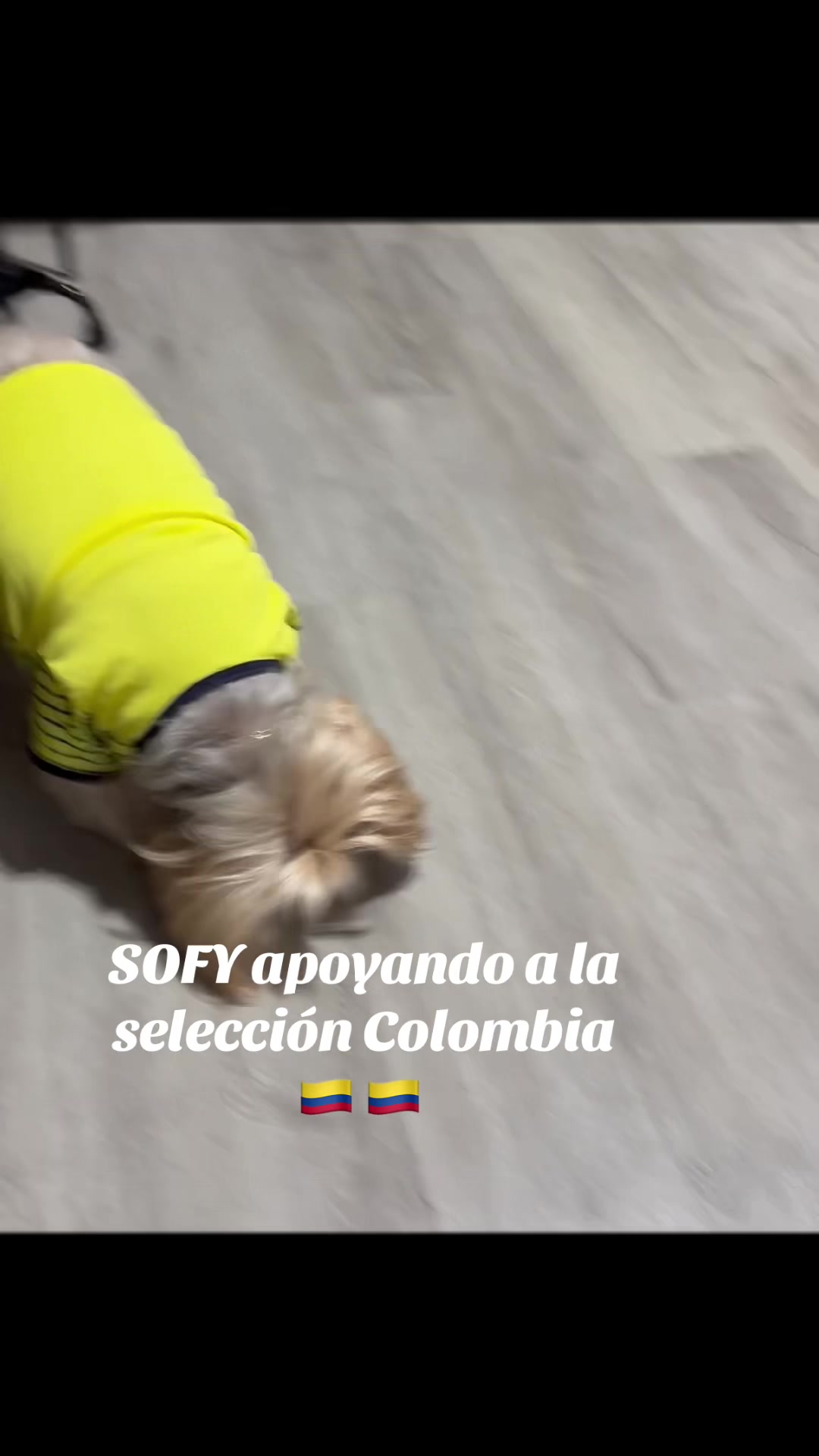 @Rocio Fernández