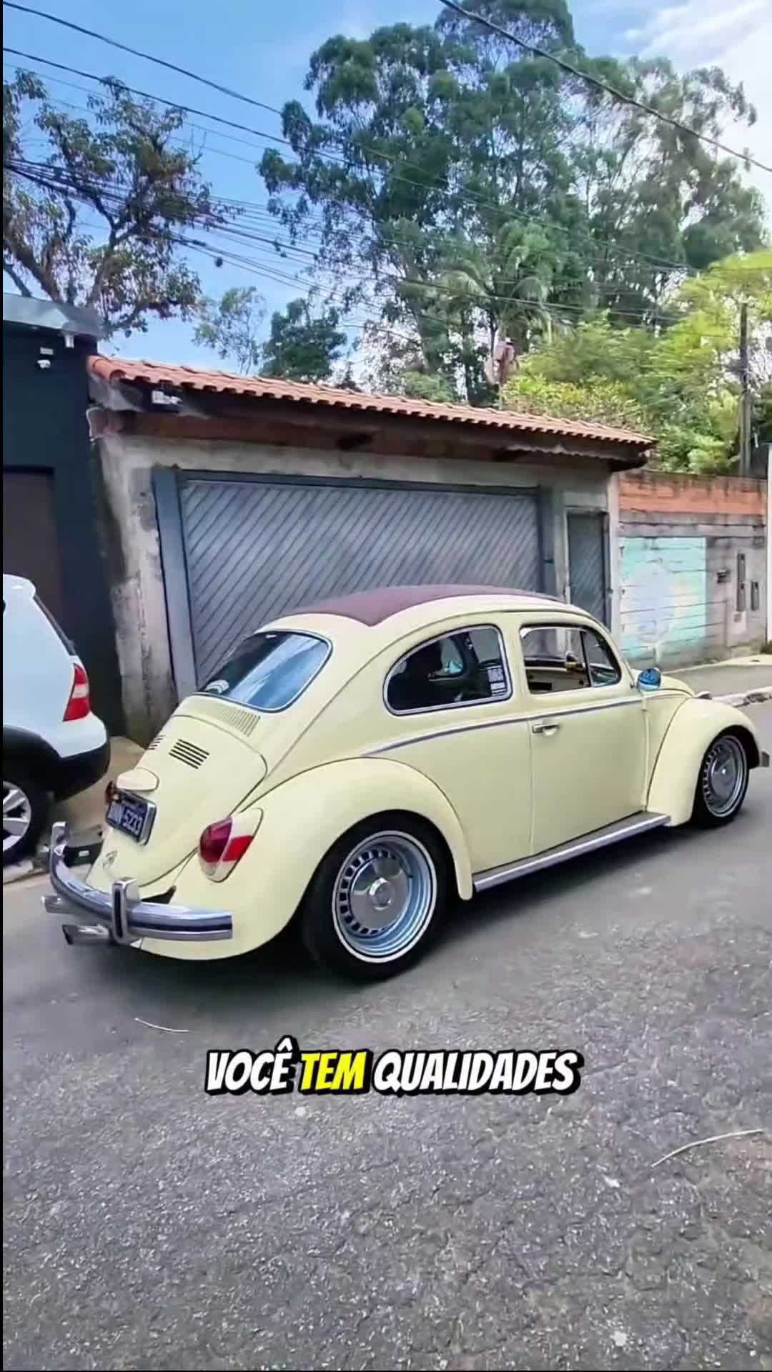 @Fuscopolis - Rafa Figueiroa