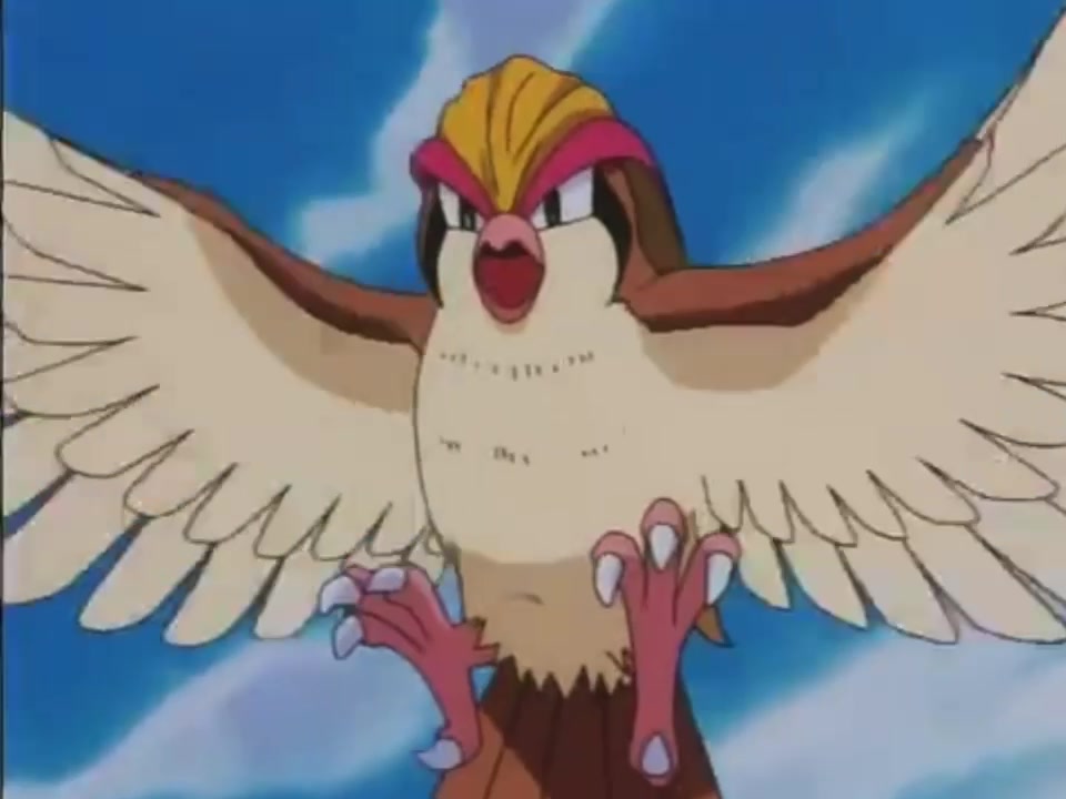 @Kanto's Pokemon