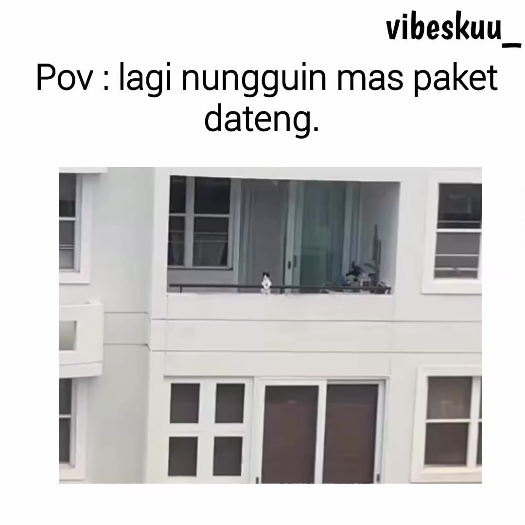 @vibeskuu_
