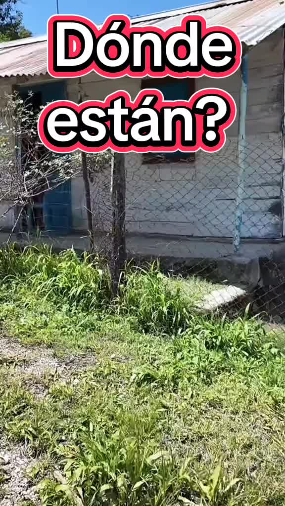 @F1r3w4ll