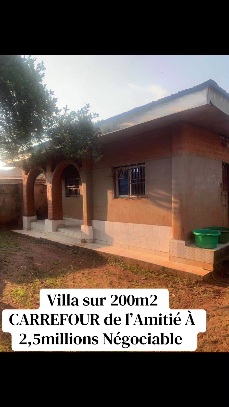 @DINO~IMMO~237🇨🇲🇨🇲