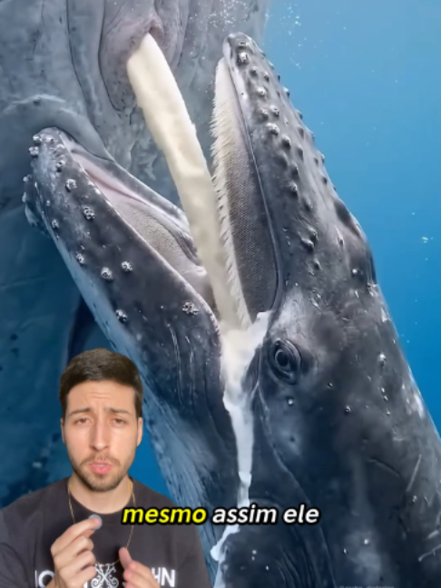 @Andre Dodorico