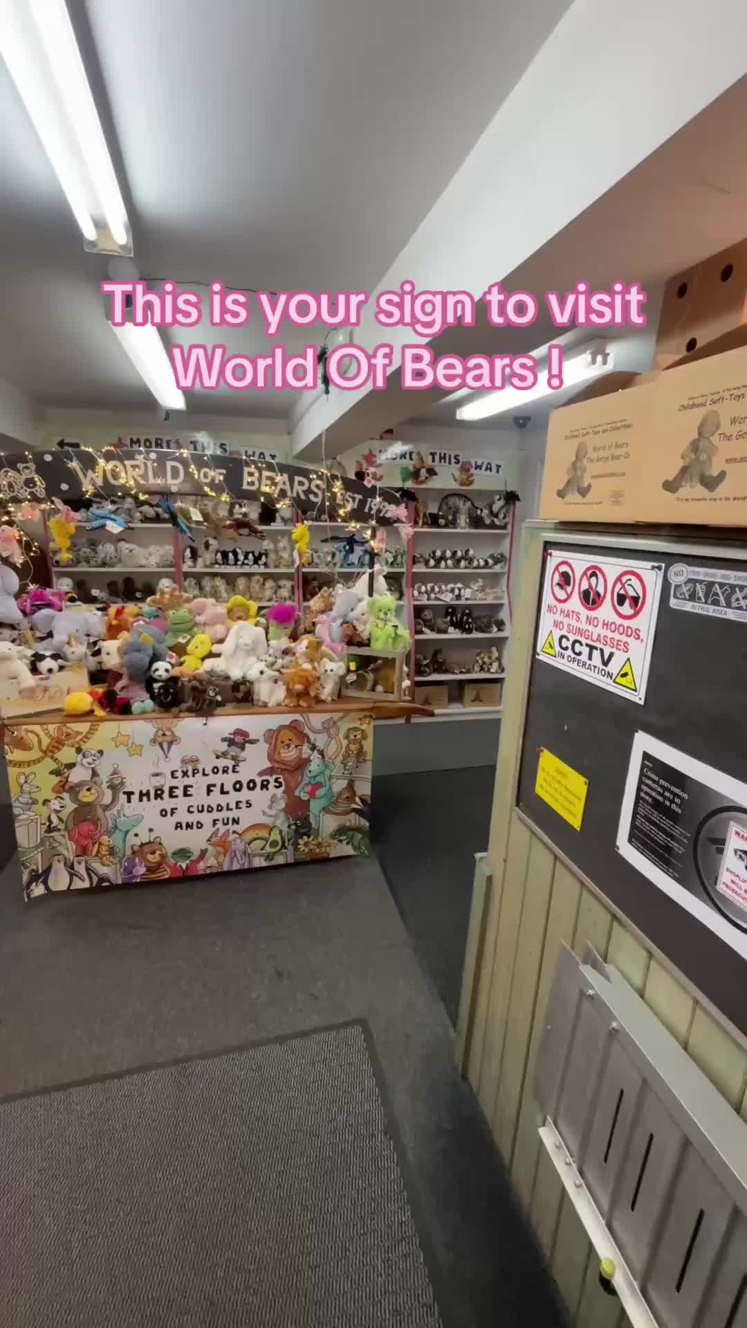 @World of Bears