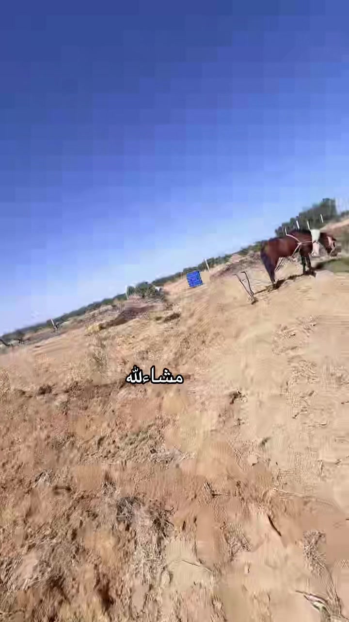 @فجعة ليمار ❤️💪💪🇹🇳