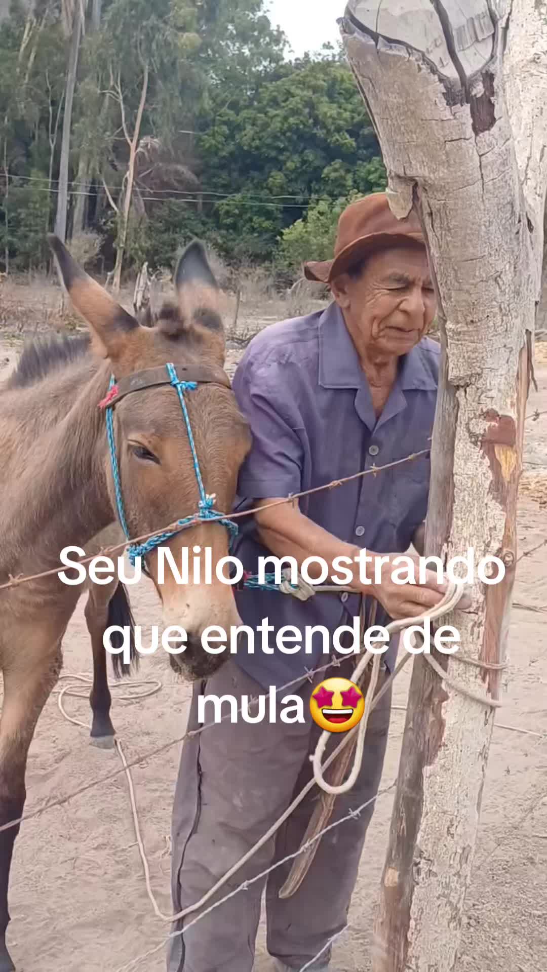 @ericamiranda76