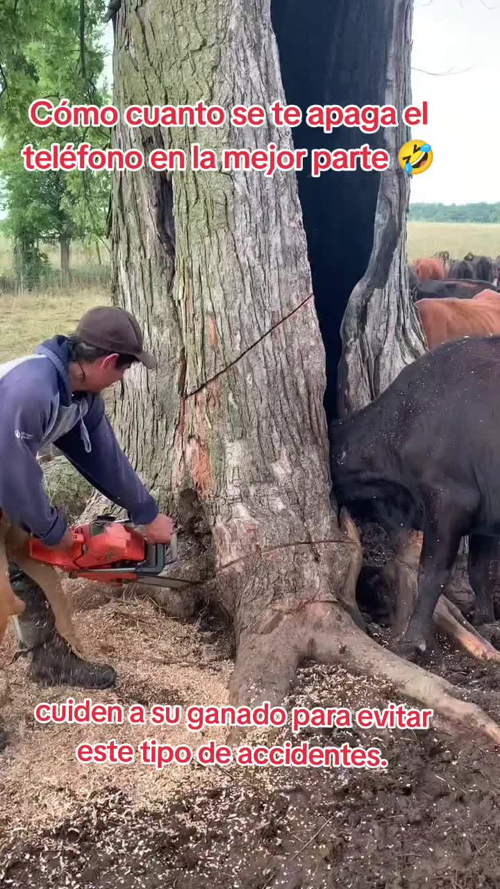 @Charlotte🐕&zwj;🦺🐈🐕🦬🐐🐎🐄🐒