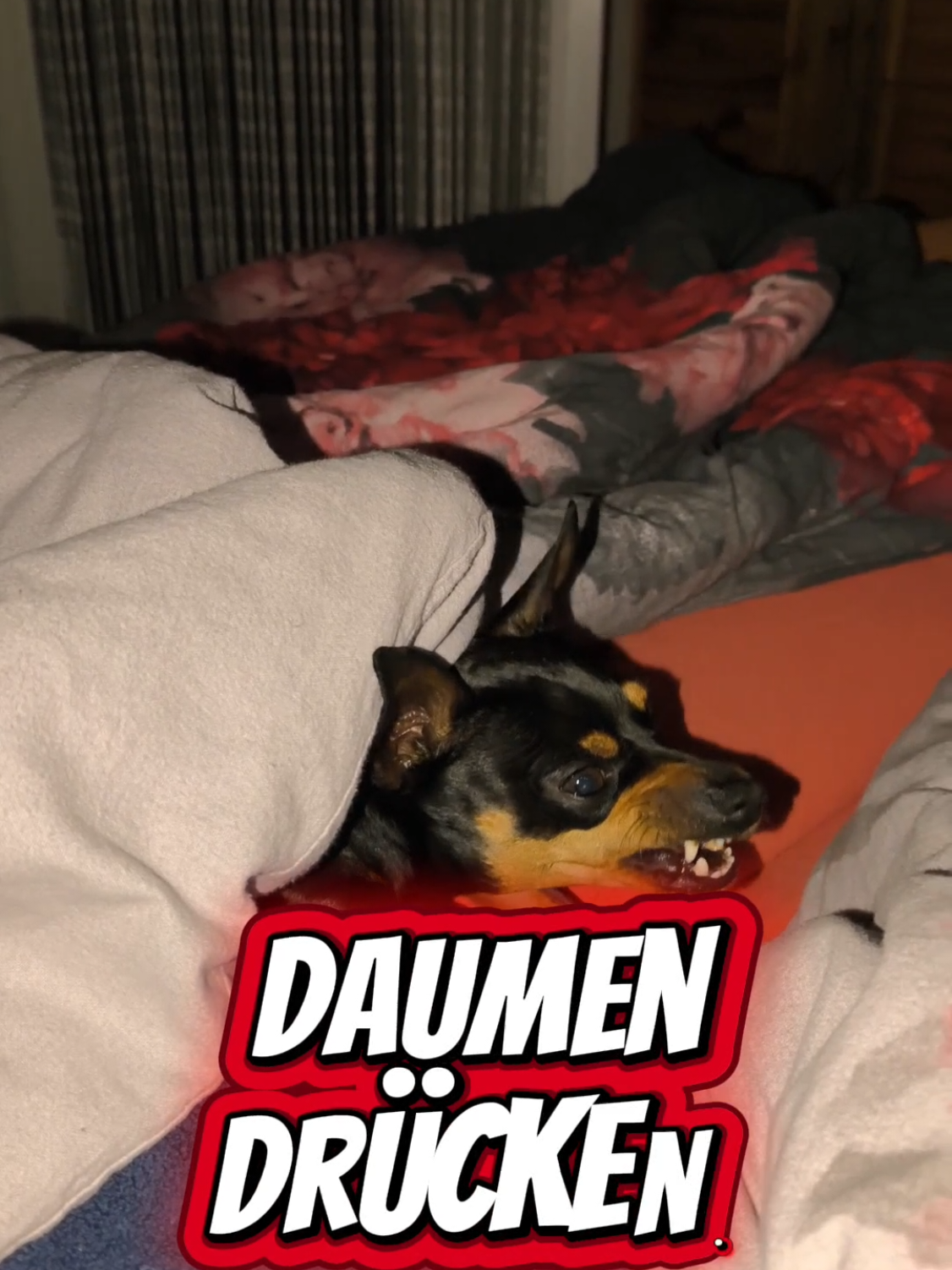 @ICH BIN'S