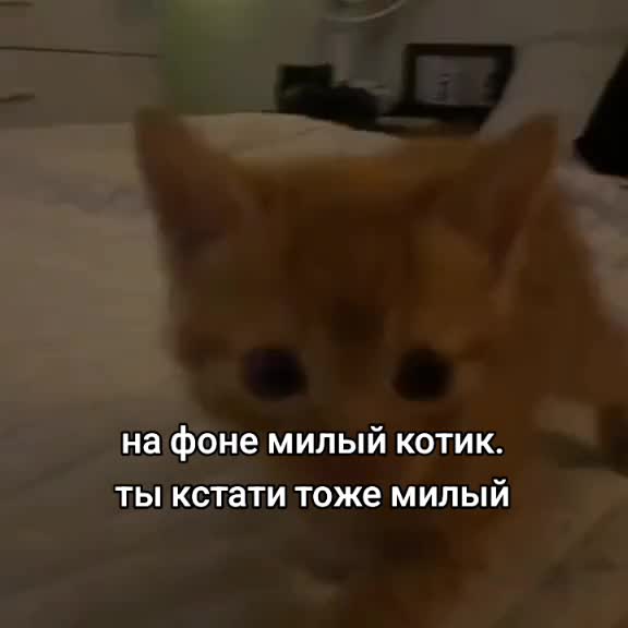 @Аки