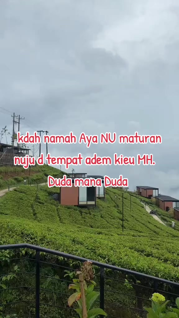 @@kopii pait