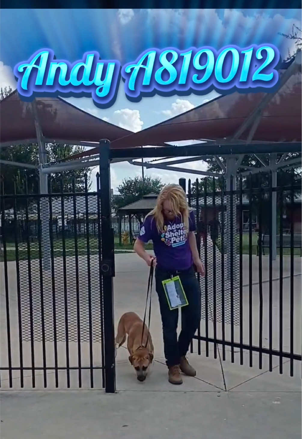 @pawssavingpaws