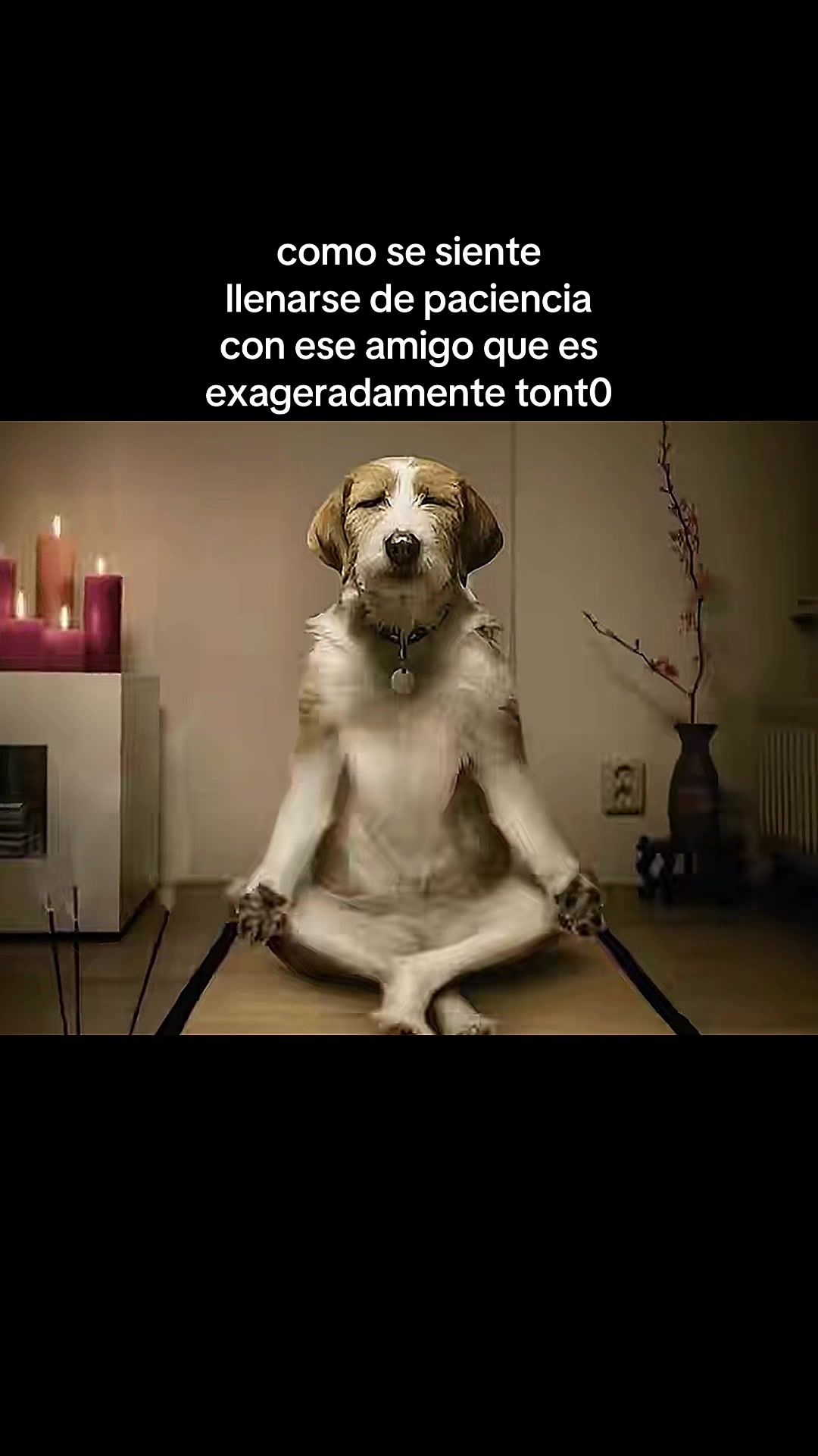 @mindful orbit