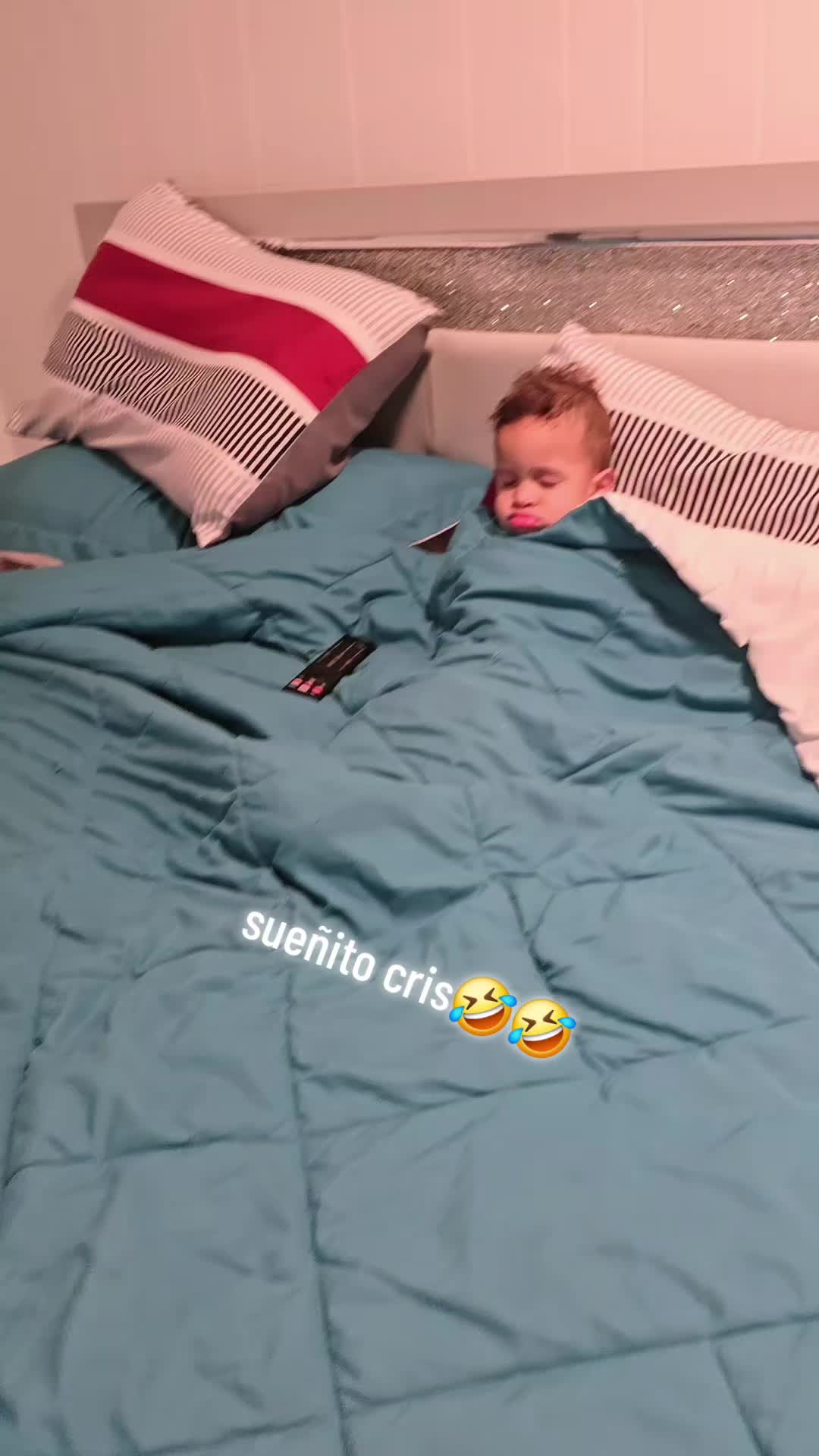 @wilerijose