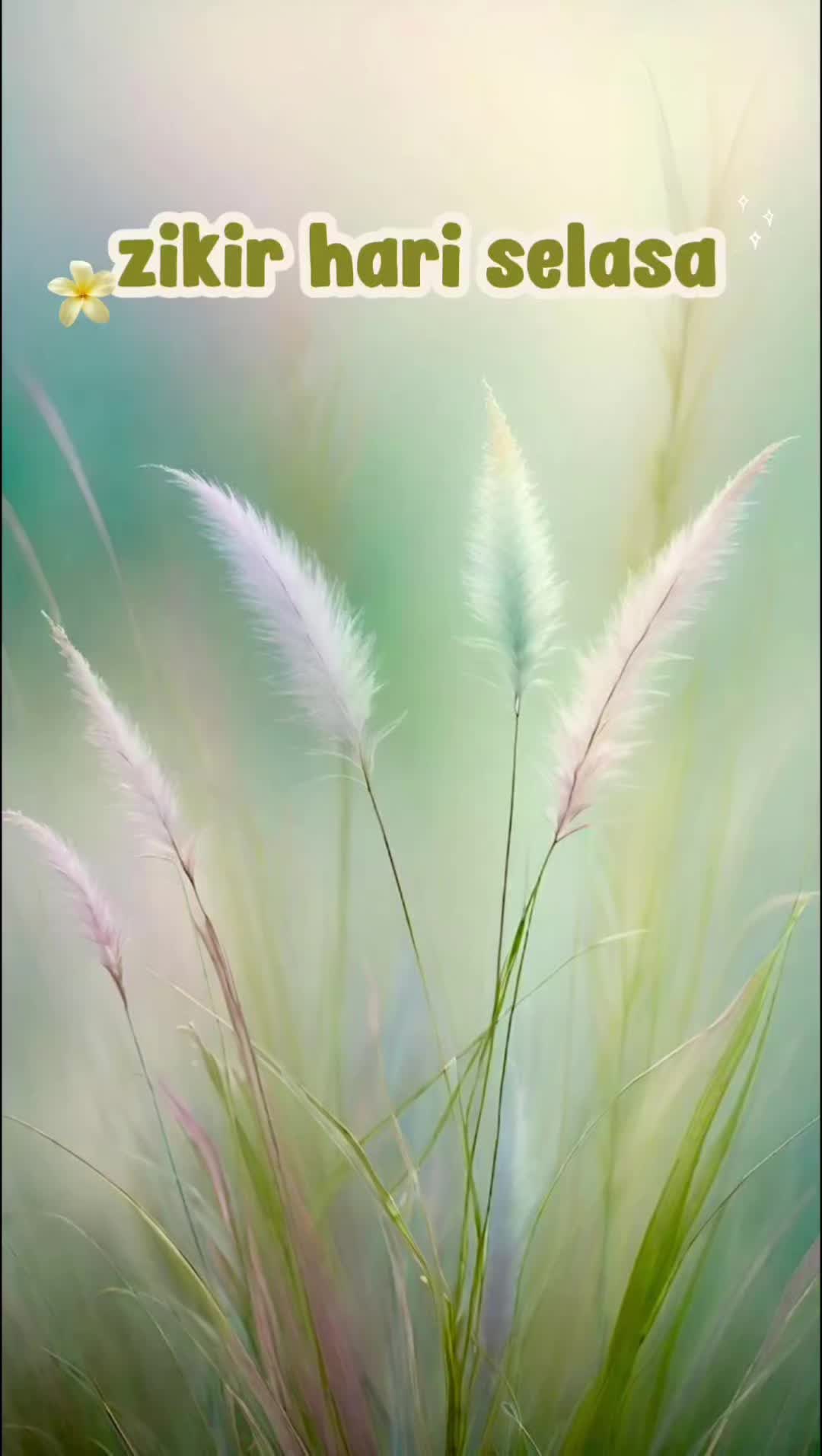 @tiy_891