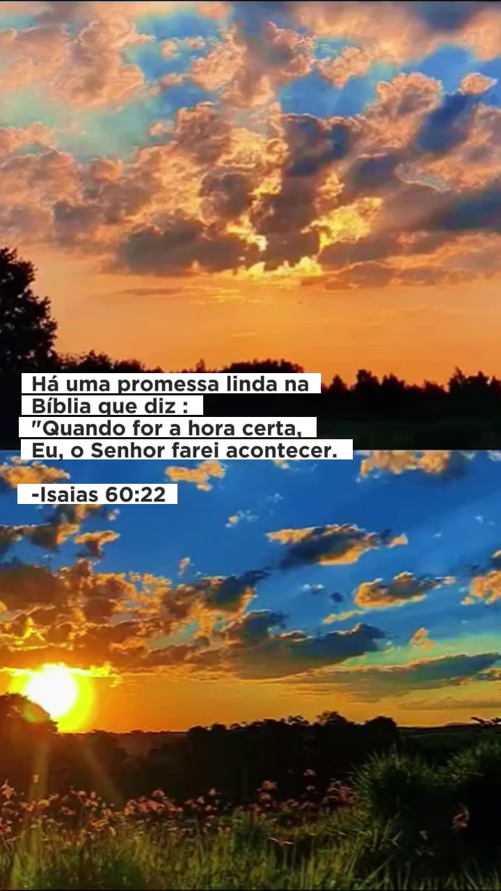 @🦋ZuZu🦋