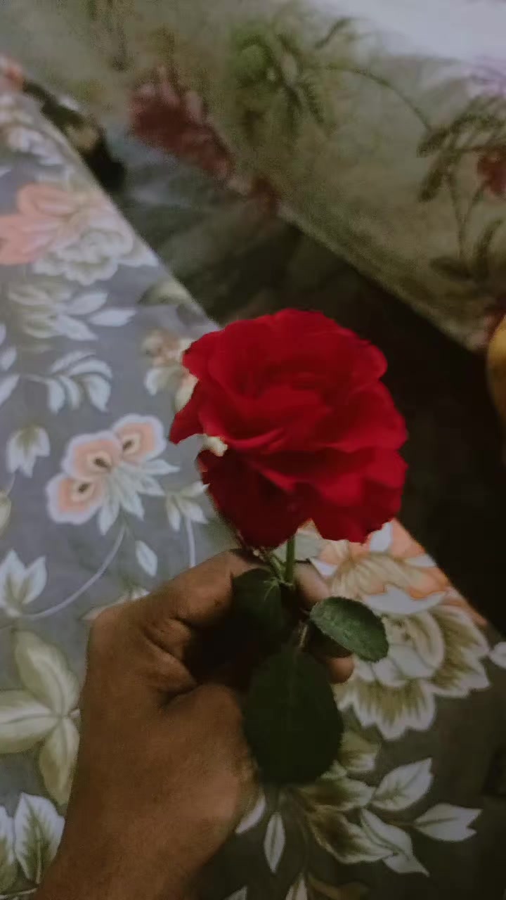 @Adii🐣
