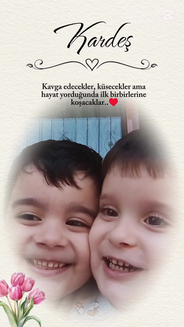 @Gülçin Barçin