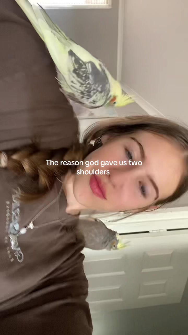 @mybirdjourney;)