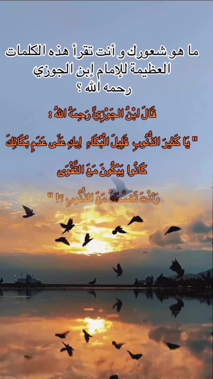 @نورالدين (أبو آمنه و عبد الله)