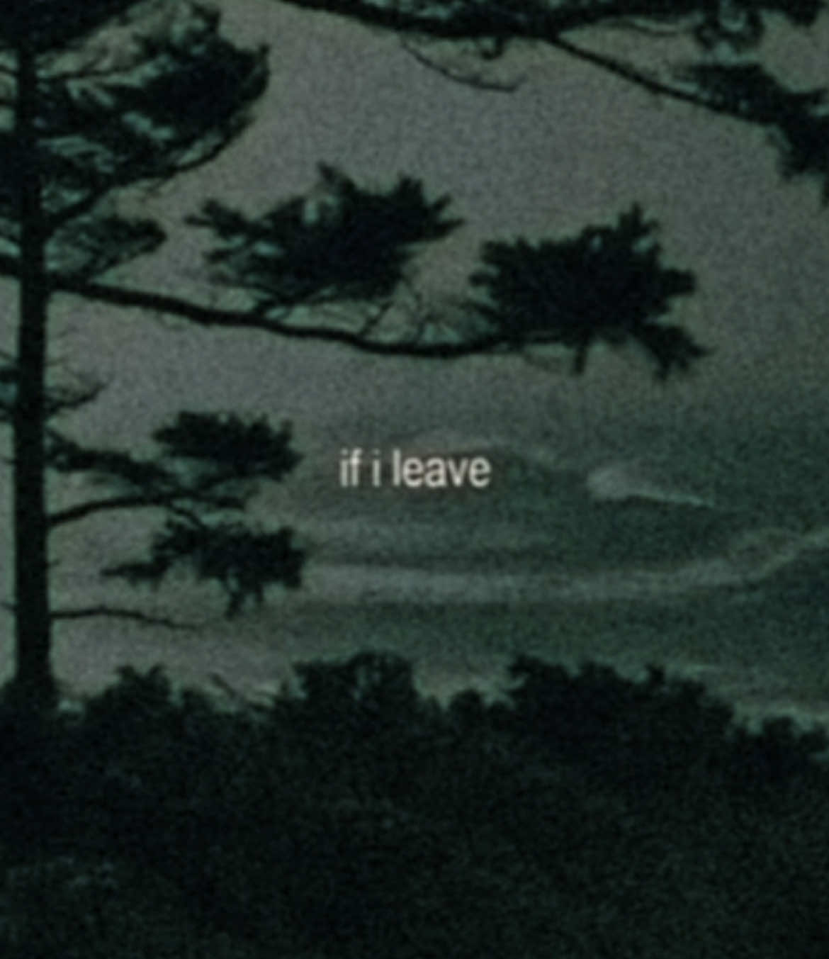@(◡ ω ◡)