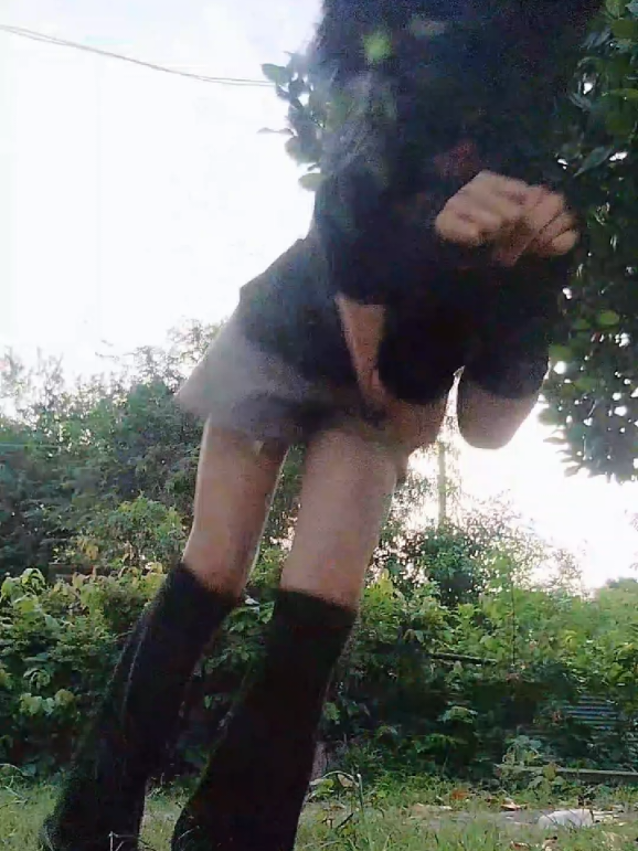 @✩₊˚⋆☾╶⃝⃤☽𝓽𝓱𝓮𝓻𝓲𝓪𝓷🌀🍀🌿丰