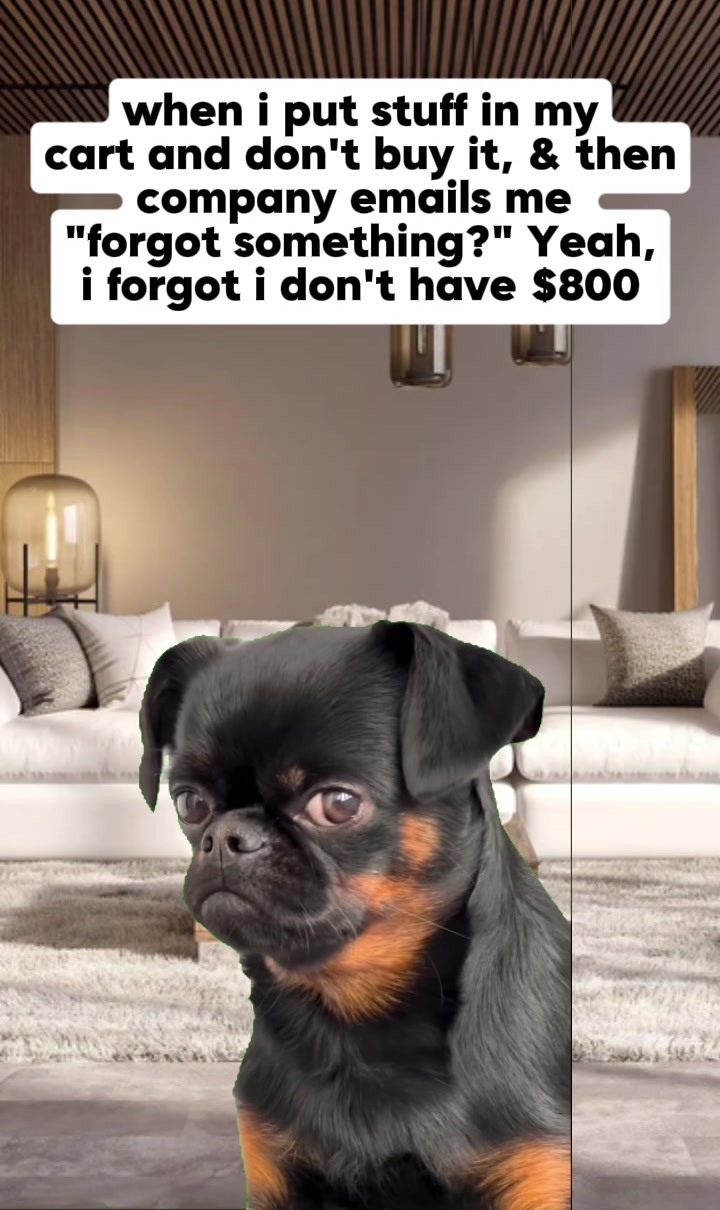 @Funny memes