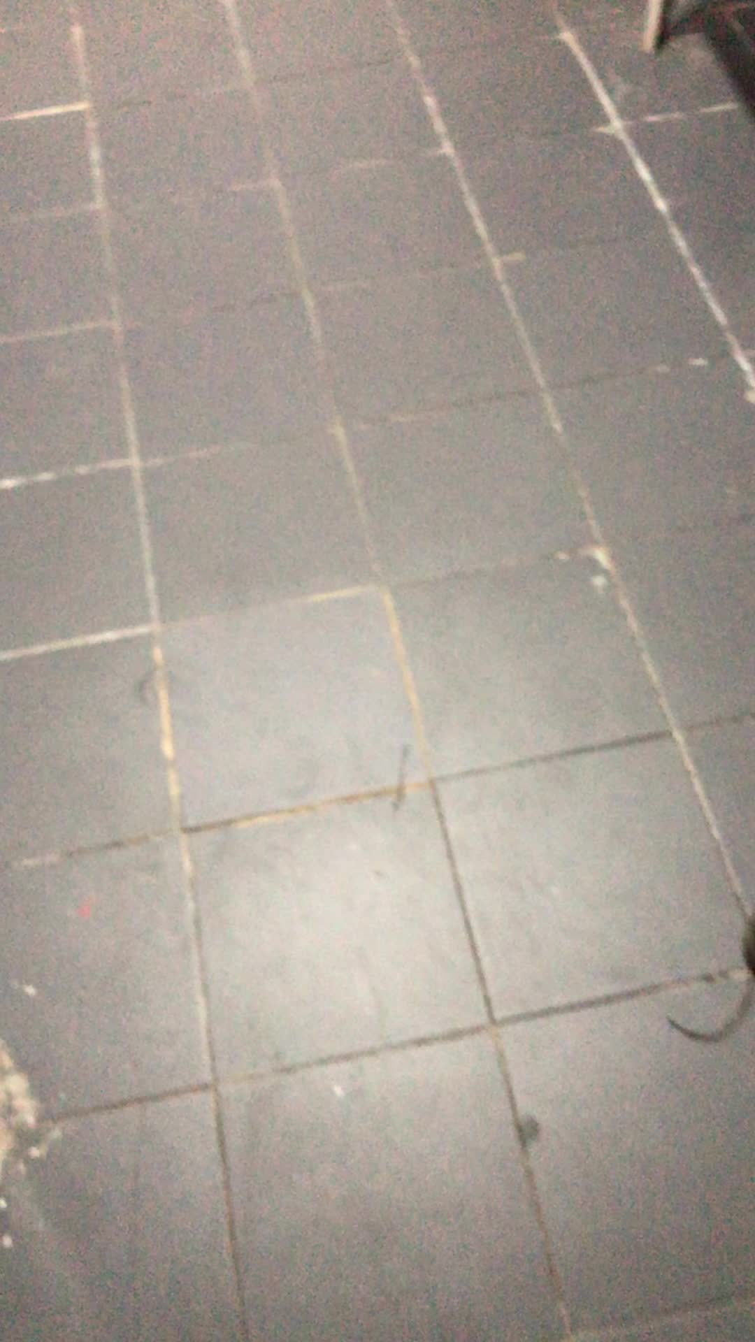 @Enes Gen&ccedil;