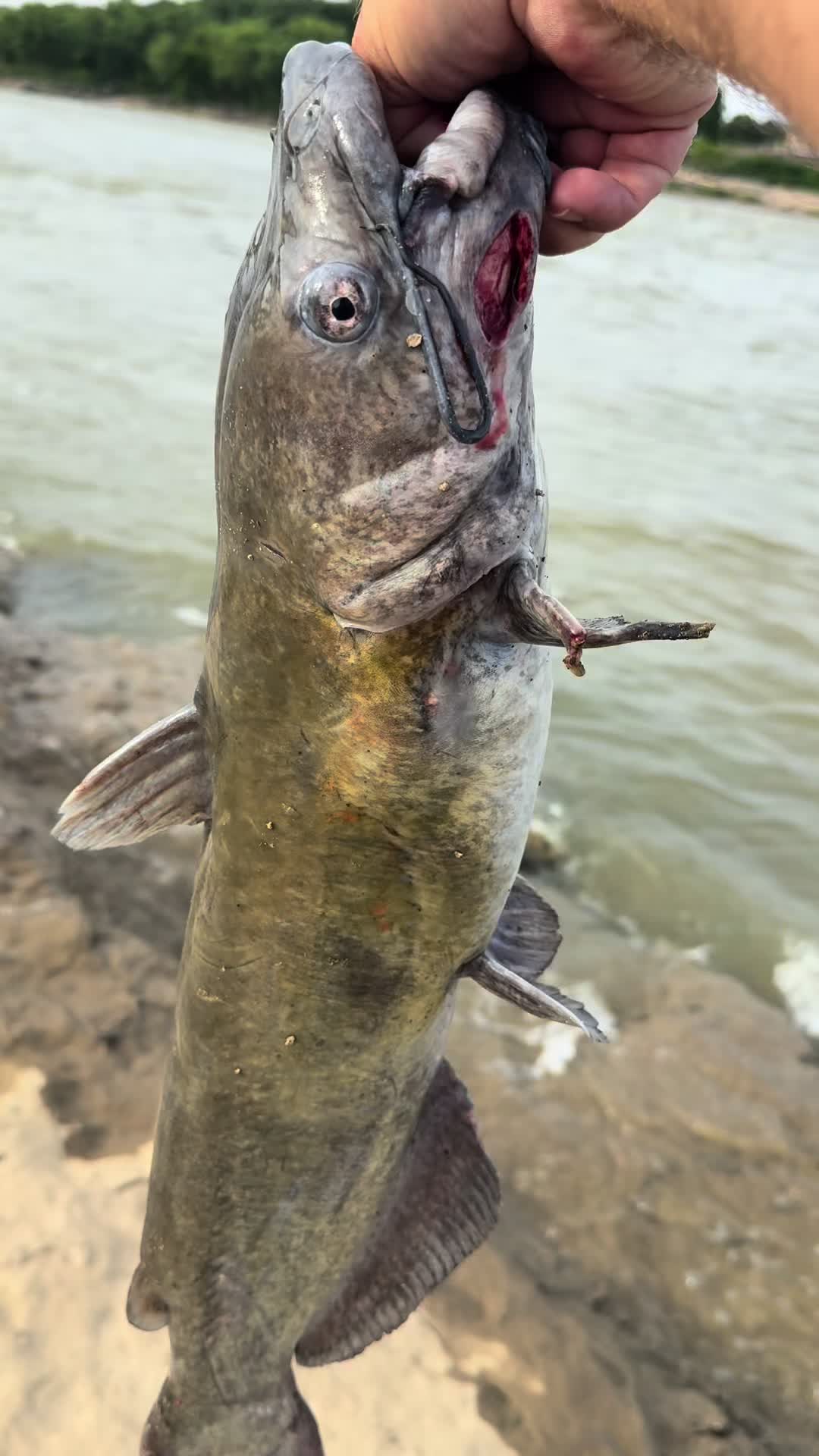 @Kentucky Fishing