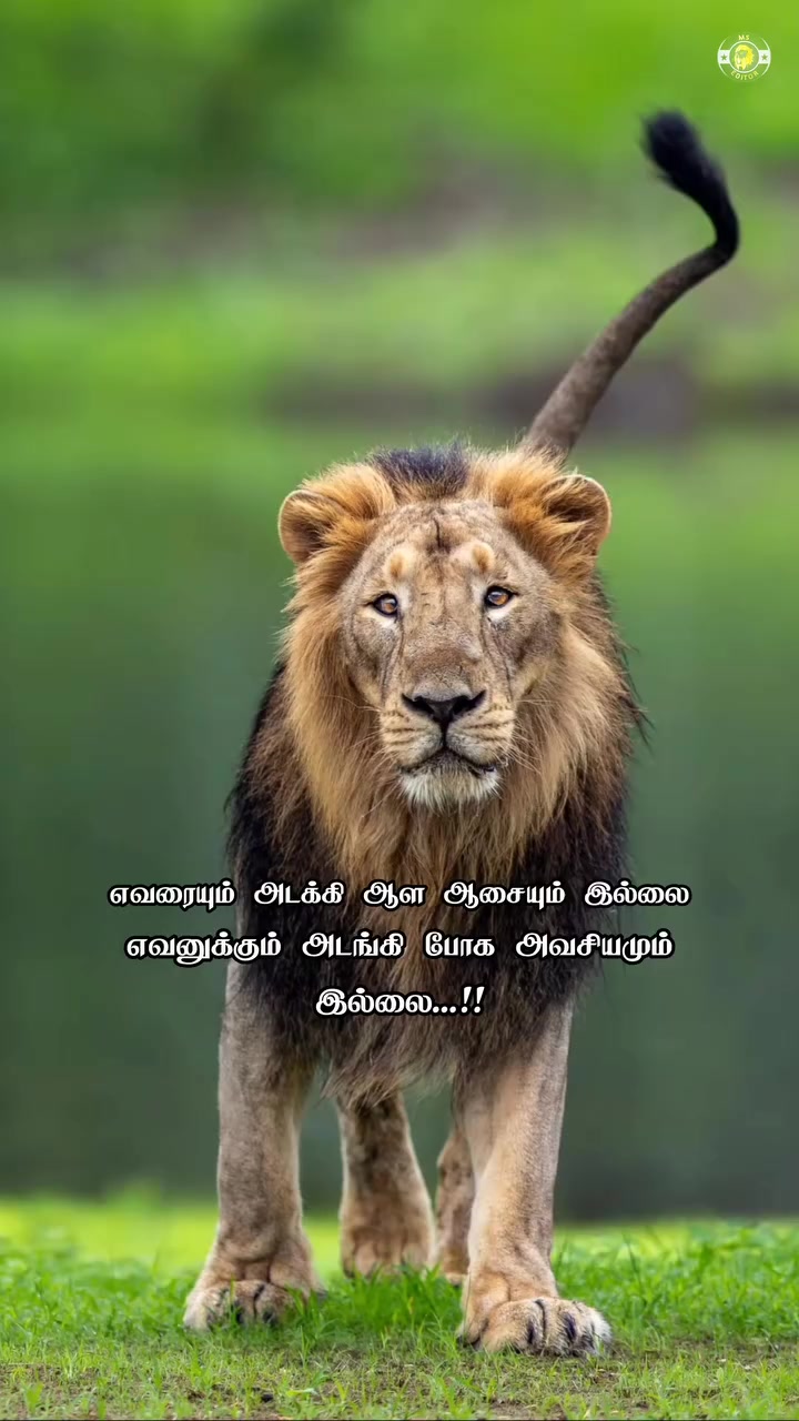 @prasanth baby 🗡🇱🇰