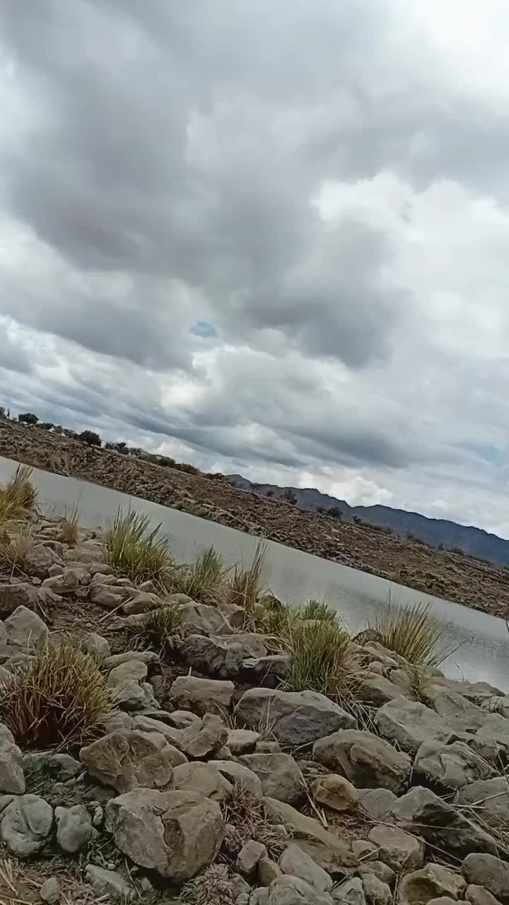 @asd123456