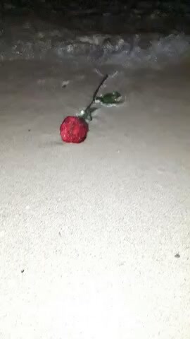 @jemuti🦋🇹🇷