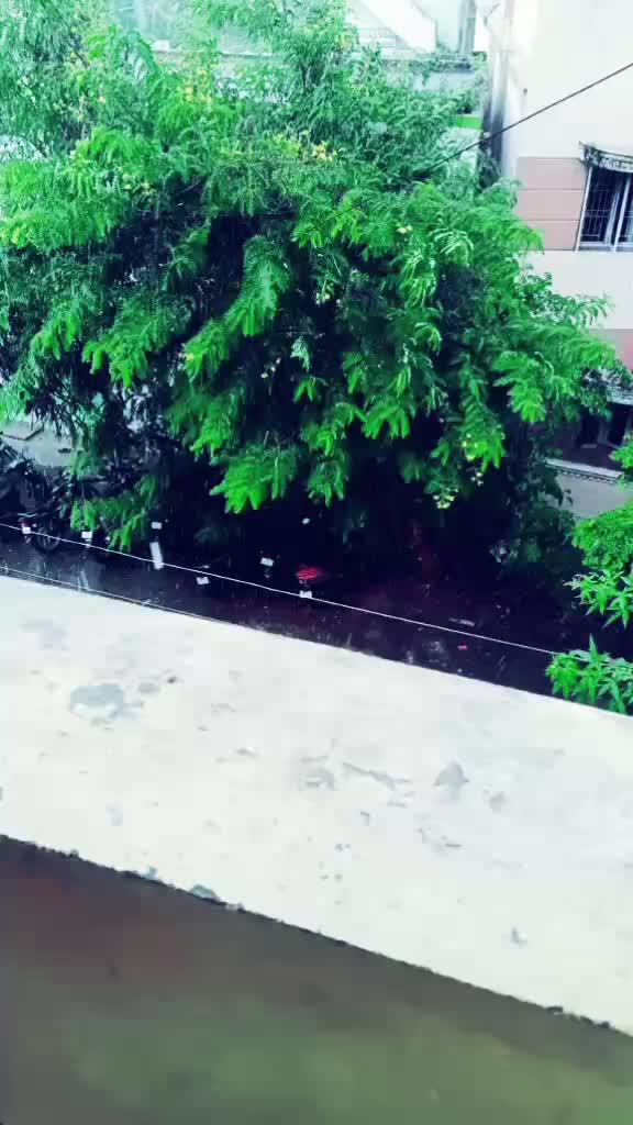 @❤️ꪶꪮꪜꫀꪶꪗꪖꪖ𝘴ꫝ𝓲𝘬❤